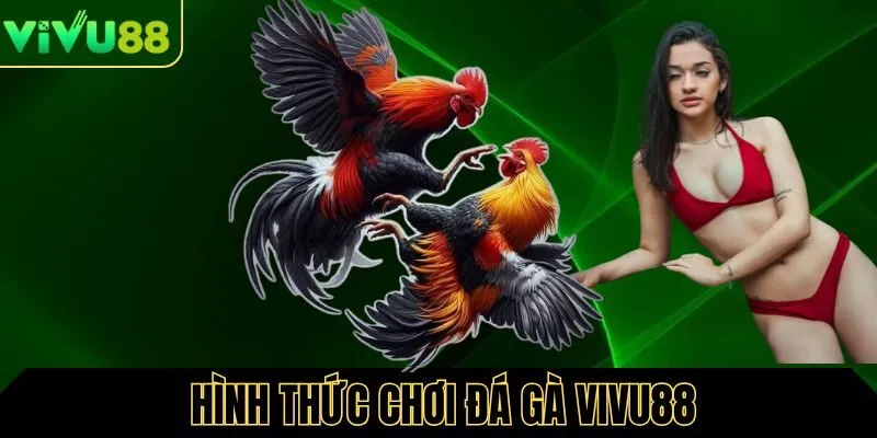 Hình thức cá cược đá gà tại Vivu88