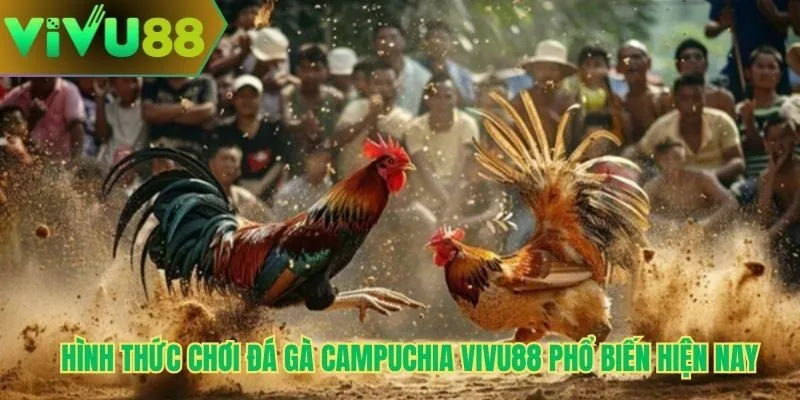 Hình thức chơi đá gà campuchia Vivu88 phổ biến hiện nay